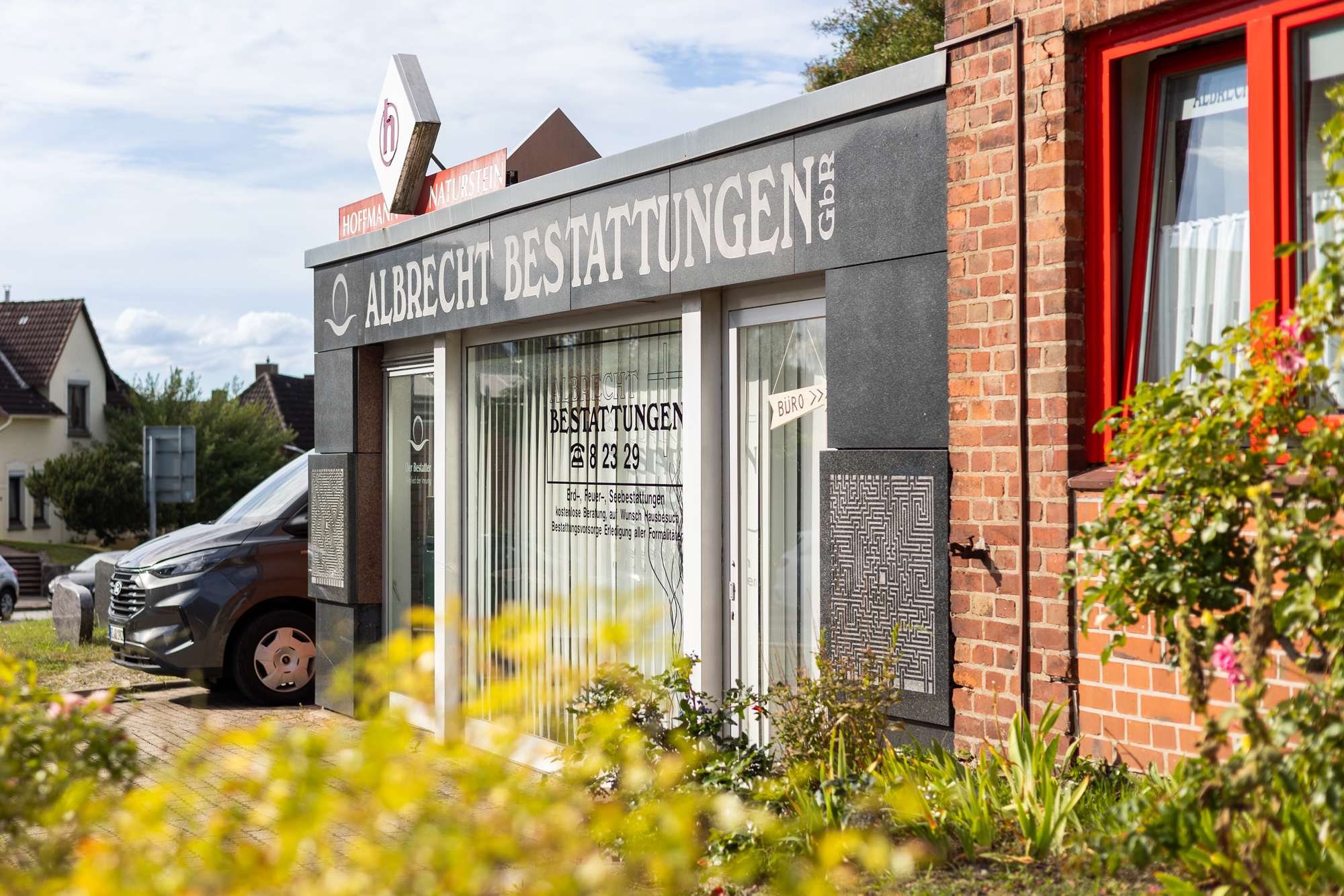 Wiese mit blauen und weißen Wildblumen