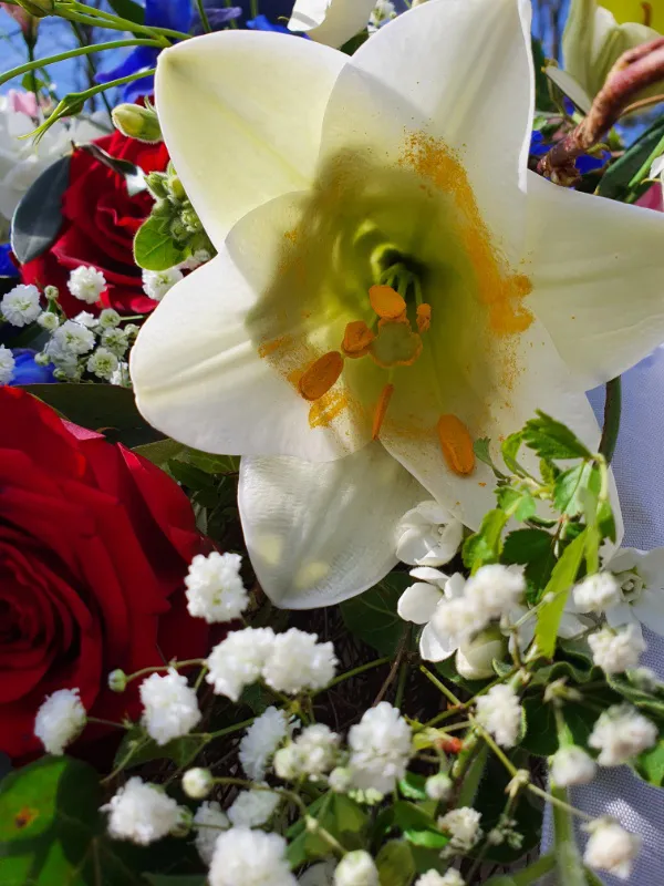 Weiße Lilien zusammen mit roten Rosen