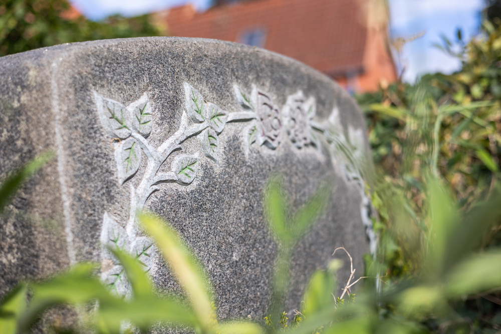 Wildblumenwiese beim Sonnenaufgang